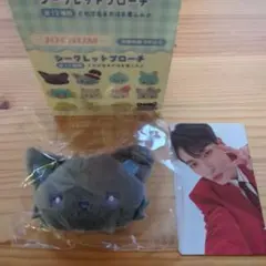 JOCHUM ピーハイ シークレットブローチ おまけ付き