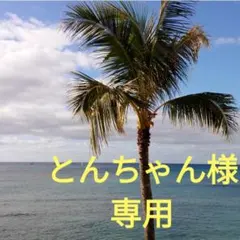 ⑤とんちゃん様専用　ふきのとう　300g　3/26(木)発送ネコポス　中小サイズ