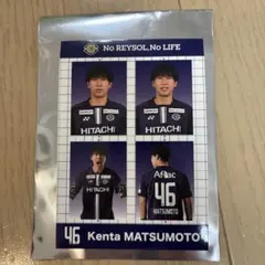 柏レイソル 戸嶋祥郎 選手 証明写真 - メルカリ