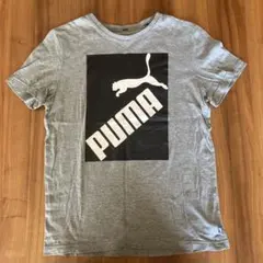 PUMA Ｔシャツ　160センチ