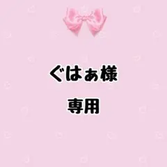 ぐはぁ様専用