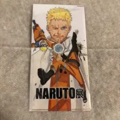 NARUTO展 チケットファイル