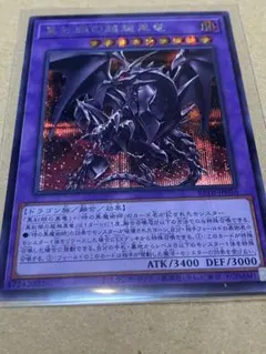 遊戯王 真紅眼の超越黒竜