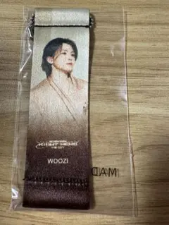 SEVENTEEN RIGHT HERE ガチャ　ウジ