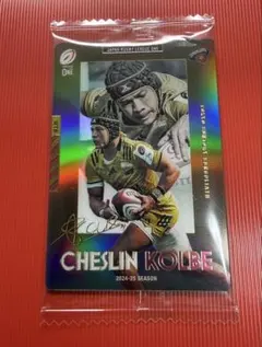 Item thumbnail for item 60f55516-fe02-442c-bd18-64415e6a27e1