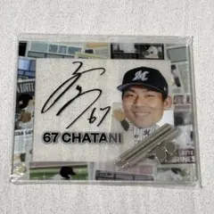 Item thumbnail for item e7ffd8fe-ae1f-4b7a-9b74-1c4ae3f72669