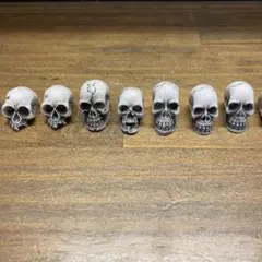 スカルデザイン　アガベ　装飾品