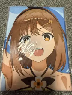 ライザのアトリエ　常闇の女王と秘密の隠れ家　マルチクロス（タイクレ限定）