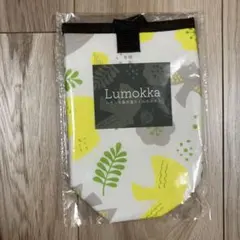 Item thumbnail for item d4871183-9db6-445b-a7a5-ecc21dac435f