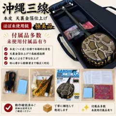 2026年最新】三線 本皮の人気アイテム - メルカリ
