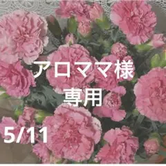 アロママ様　専用