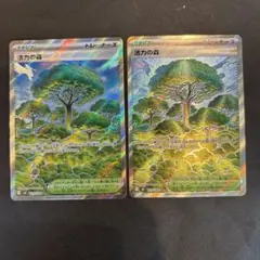 ポケモンカード 活力の森 SR トレーナーズ