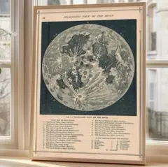 こっこるぴあ様 リクエスト 3点 まとめ商品