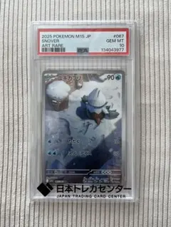 たくや様 リクエスト 2点 まとめ商品