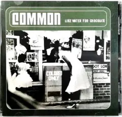 新品COMMON LIKE WATER FOR CHOCOLATE2枚組レコード Amazon.co.jp: Like Water For Chocolate [2lp] [Analog
