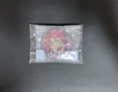 あんさんぶるスターズ!!￤月永レオ 缶バッジ