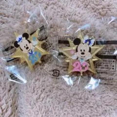 ディズニーシー　20周年　ピンバッチ　ミッキー　ミニー