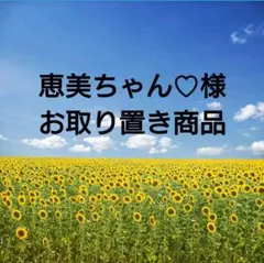天然石 ハート型 置物 - メルカリ