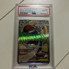PSA9セット売り アセロラ&カナリィ ACEROLA'S M.&CANARI - メルカリ