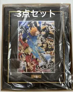 【3点セット】ハイキューゴミ捨て場の決戦 キャラファイングラフ アクリルブロック