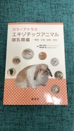 Item thumbnail for item 73b247f6-e18d-413a-81bb-4044effc0de7