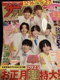 ザ・テレビジョン 2025年 お正月超特大号