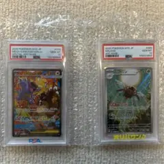 ポケモンカード PSA10 メガガルーラex SAR テッカニンAR 2枚セットのサムネイル