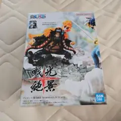 ワンピース フィギュア 戦光絶景