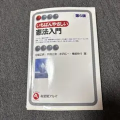 いちばんやさしい憲法入門☆お値下げ☆