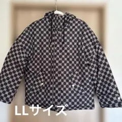 Item thumbnail for item b6692751-3c6d-49cf-88f3-2b7d3642fe07