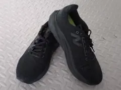 Item thumbnail for item 0016f3fb-3728-45ab-af46-c50de6a6b92c