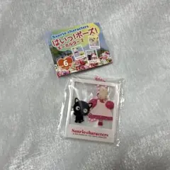 サンリオ はいっ！ポーズ！キーホルダー2 チョコキャット&マロンクリーム