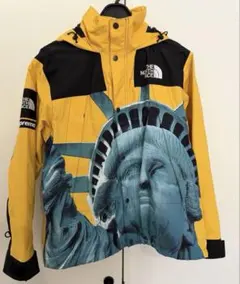 Supreme THE NORTH FACE 自由の女神 マウンテンパーカー