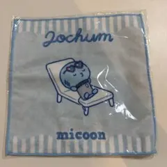 JOCHUM ミニタオル マイクンのサムネイル