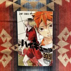ハイキュー!!33.5巻 ゴミ捨て場の決戦 来場者特典