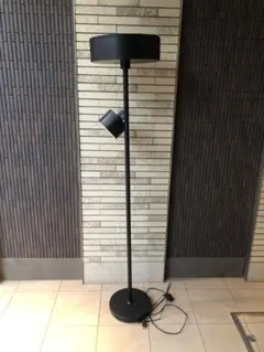 エア・リゾーム PiENi ピエニ スタンドライト 照明 2灯 LED電球対応