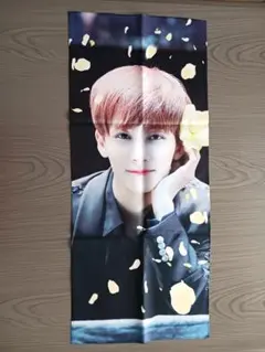 SEVENTEEN　セブンティーン　ジョンハン　スローガン　マスター　少し大きめ