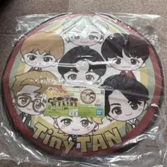 Tinytan一番くじ　ラグマット