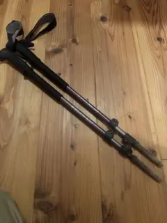 Item thumbnail for item 2c7bd9f2-9f29-4cb7-aa2a-2702a94f1a5b