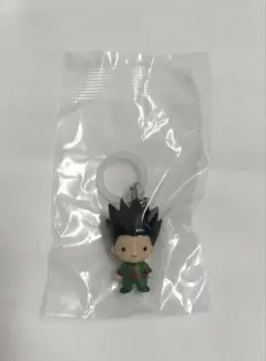 HUNTER × HUNTER めじるしアクセサリー