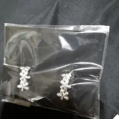 Item thumbnail for item 361cf822-eb13-4518-a2e7-f1ef98019e85