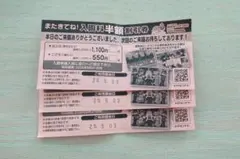 南知多ビーチランド　入園料半額割引券 3枚　2026年8月31日までのサムネイル