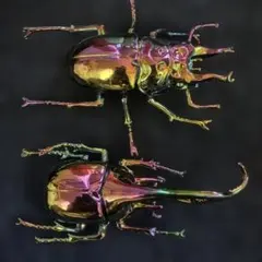 昆虫フィギュア 2種セット メタリックカラーのサムネイル