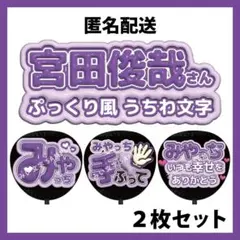 宮田俊哉 2枚セット Kis-My-Ft2 キスマイ ぷっくりファンサうちわ文字