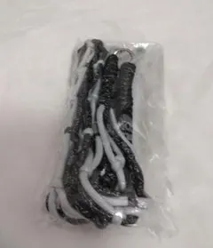 BMSGフェス2026　メガカプセル　ボトルホルダー