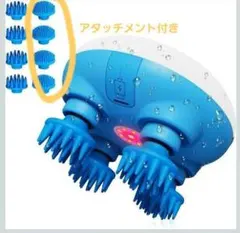 Item thumbnail for item 2dbc36ec-a04e-4e1c-9062-3775943c9d2f