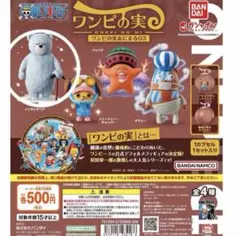 ワンピの実 ハイキングベア　新品未使用
