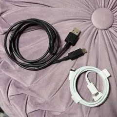 iPhone lightning 케이블 Apple 충전기 typec