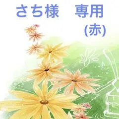 さち様　専用ページ