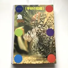 Item thumbnail for item b6c9a368-e108-4a2f-8f24-a6ef58b74694